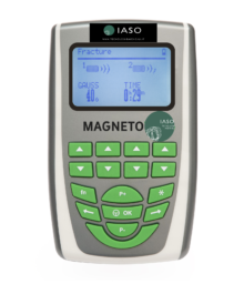 magnetoterapia veterinaria